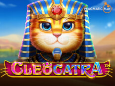 Bedava slot casino oyunları88